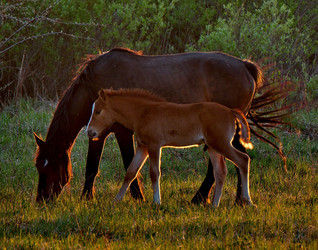 Similar image 21691857