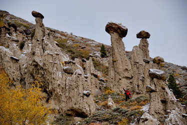 Similar image 21691858