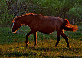 Similar image 21691860