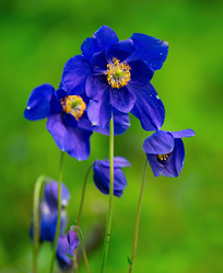 Similar image 21691864