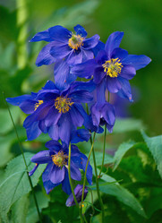 Similar image 21691866