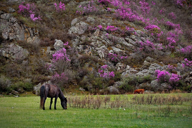 Similar image 21691869