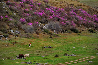 Similar image 21691870