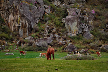 Similar image 21691871