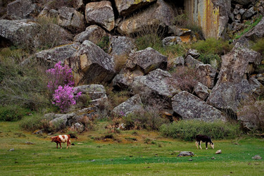 Similar image 21691872