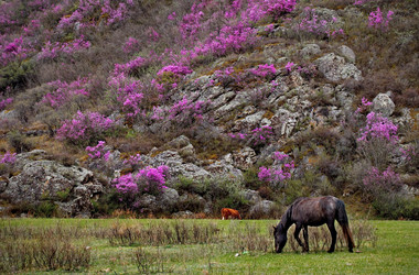 Similar image 21691873