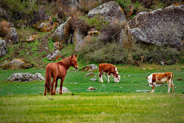 Similar image 21691874