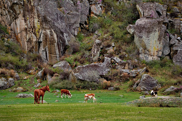 Similar image 21691875