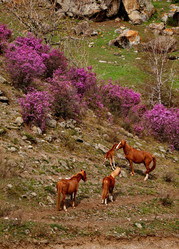 Similar image 21691876