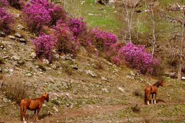 Similar image 21691877