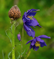 Similar image 21691880