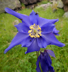 Similar image 21691881