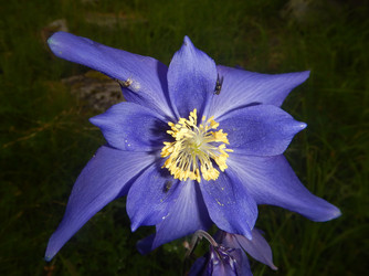 Similar image 21691882