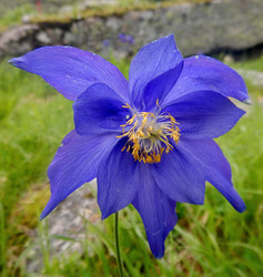 Similar image 21691883