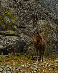 Similar image 21691884