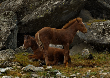 Similar image 21691885