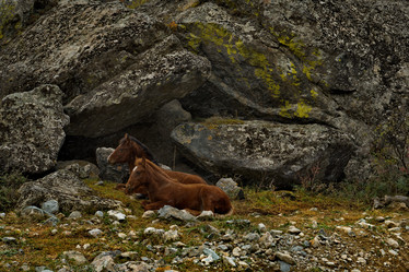 Similar image 21691886