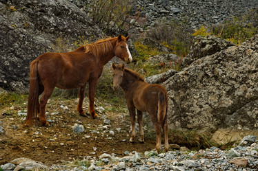 Similar image 21691887