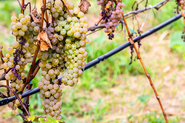 Similar image 21689648