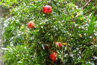 Similar image 21689653