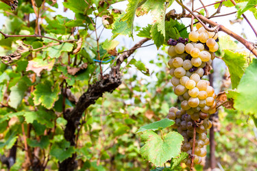 Similar image 21689656