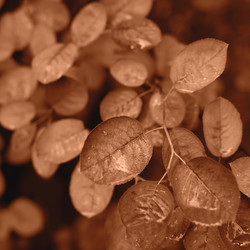 Similar image 21690579