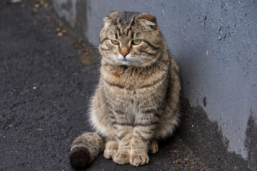 Similar image 21690768