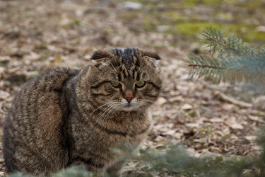 Similar image 21690770