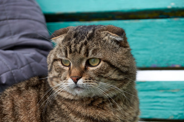 Similar image 21690771