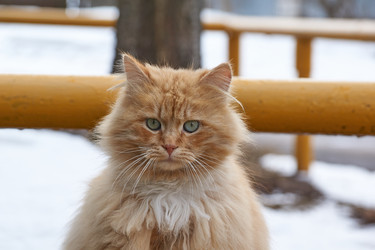 Similar image 21690773