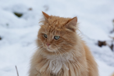 Similar image 21690774