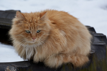 Similar image 21690775