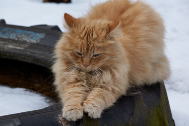 Similar image 21690776