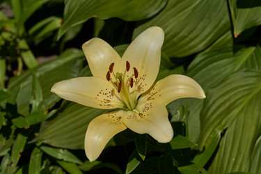 Similar image 21690778