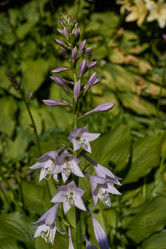 Similar image 21690780