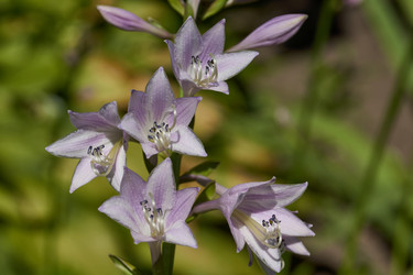 Similar image 21690782