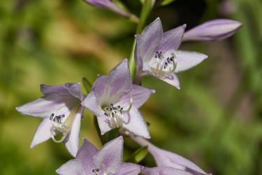 Similar image 21690783