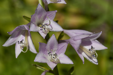 Similar image 21690784