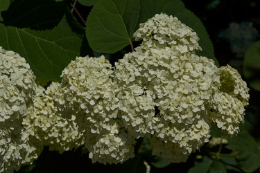 Similar image 21690788