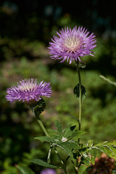 Similar image 21690789