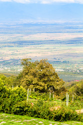 Similar image 21689891