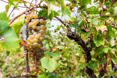 Similar image 21689904