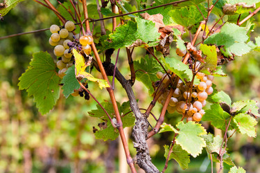 Similar image 21689908