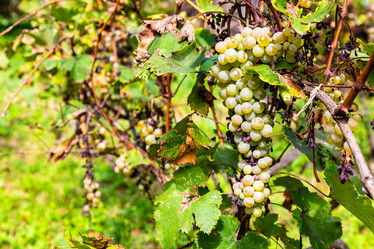 Similar image 21689915