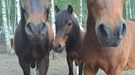 Similar image 21690360