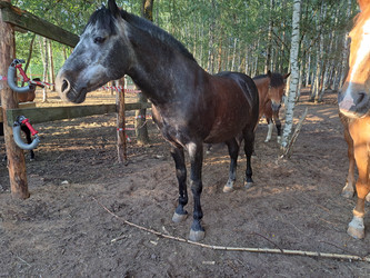 Similar image 21690361