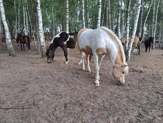 Similar image 21690362