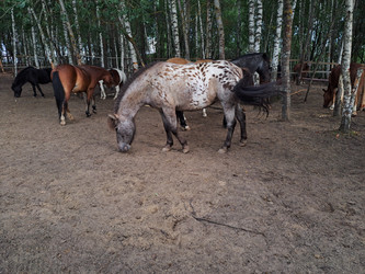 Similar image 21690363