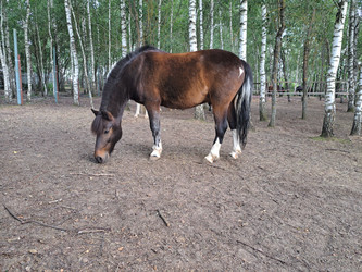 Similar image 21690364