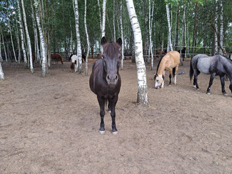 Similar image 21690365